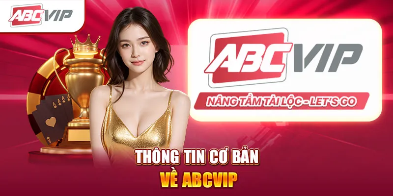 Phạm vi công việc của vị trí IT Web ABCVIP